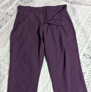 Fabletics Mens Dress Pants 31x32